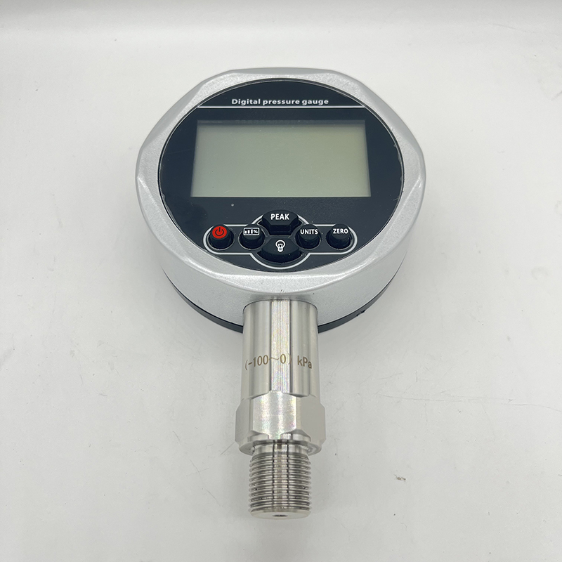 数字压力表 WYS-100.jpg